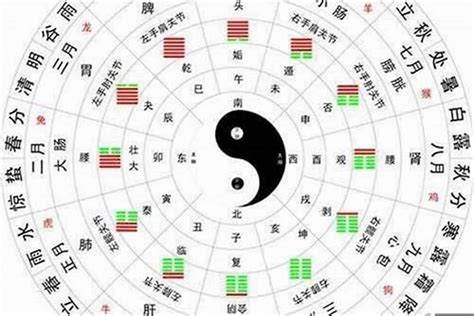 八字木太旺|八字中的五行木该如何理解 八字五行木旺的人忌讳什么